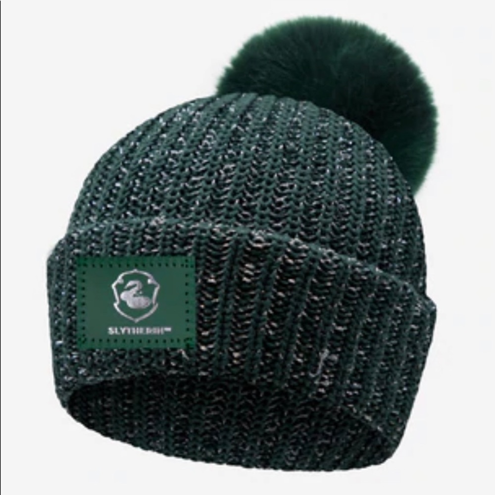 Love Your Melon Harry Potter Slytherin Hunter Metallic Silver Yarn Pom Beanie